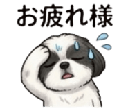 863614086