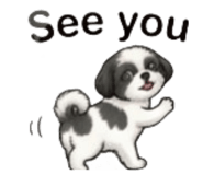 863614120