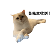 863618835