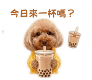 863623979