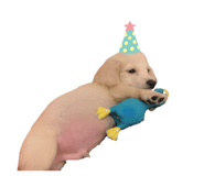 863624786