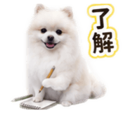 863625430