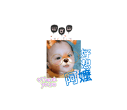 863633149