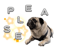 863633284
