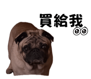 863633319