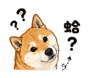 863634554