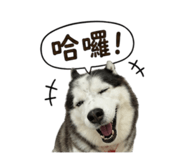 863634741