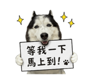 863634742
