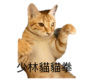 863635027