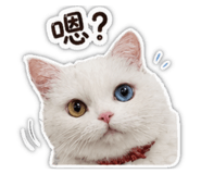 863635125