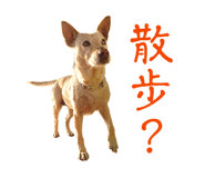863637249