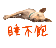 863637251