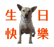 863637261
