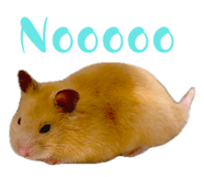 863637990