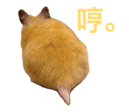 863637992