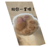 863638850