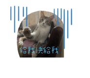 863638861