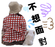 863639121