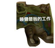 863640044