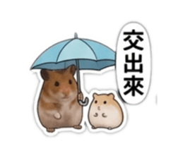 863641728