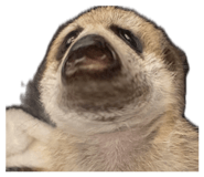 863642218