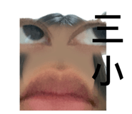 863647397