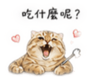 863648445