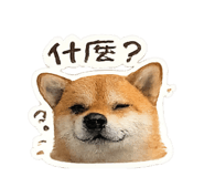 863651284