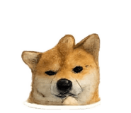 863651289