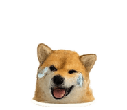 863651291