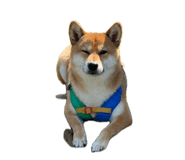 863651298
