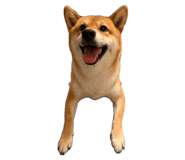 863651300