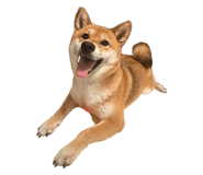 863651302