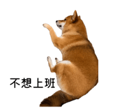 863651309