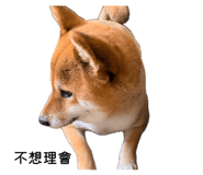 863651310