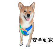 863651312