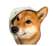 863651316