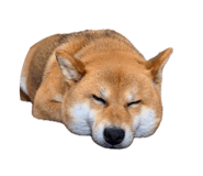 863651320