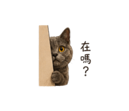 863652212