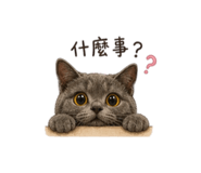 863652221