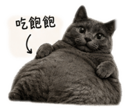 863654423