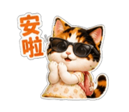 863655116