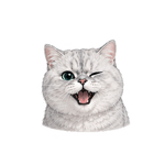 863655556