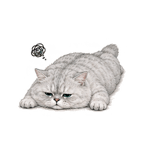 863655561