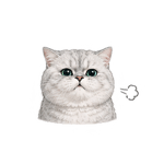 863655563