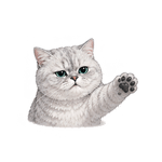 863655566