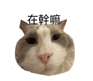 863658042