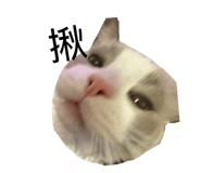 863658044