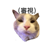 863658045