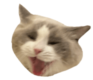 863658046